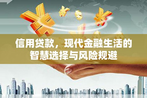 岳塘信用贷款，现代金融生活的智慧选择与风险规避