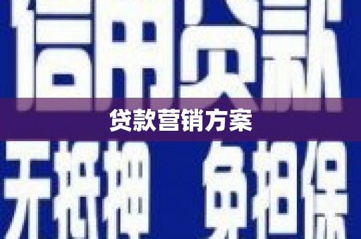 岳塘贷款营销方案