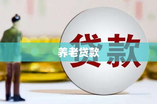 岳塘养老贷款