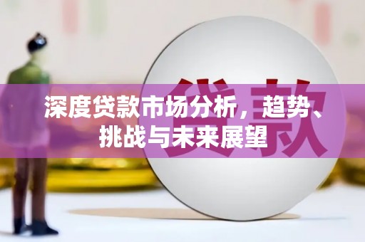 岳塘深度贷款市场分析，趋势、挑战与未来展望