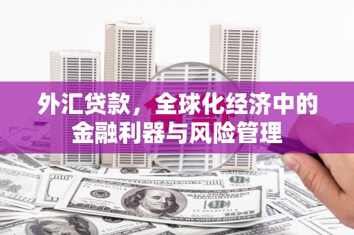 岳塘外汇贷款，全球化经济中的金融利器与风险管理