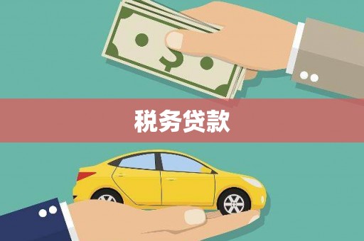 岳塘税务贷款