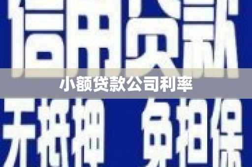 岳塘小额贷款公司利率