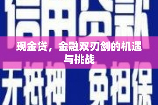 岳塘现金贷，金融双刃剑的机遇与挑战