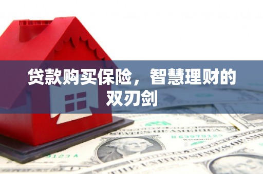 岳塘贷款购买保险，智慧理财的双刃剑