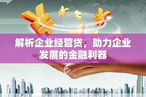 岳塘解析企业经营贷，助力企业发展的金融利器