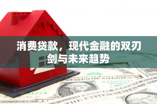 岳塘消费贷款，现代金融的双刃剑与未来趋势