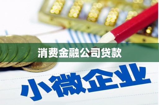 岳塘消费金融公司贷款
