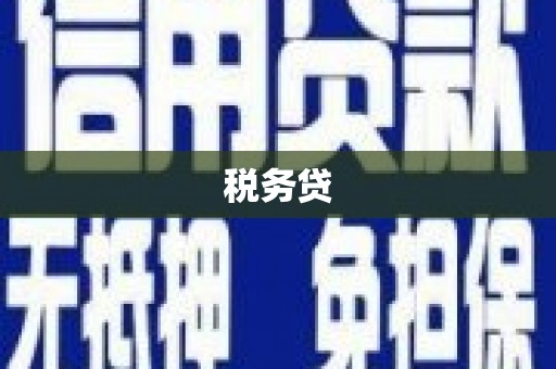 岳塘税务贷