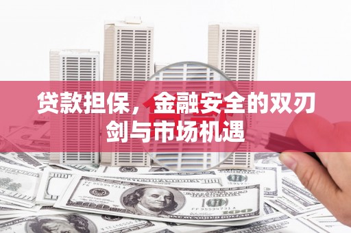岳塘贷款担保，金融安全的双刃剑与市场机遇