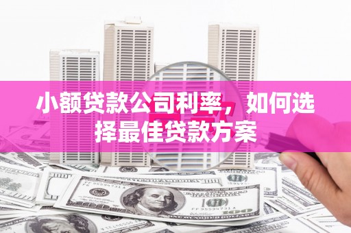 岳塘小额贷款公司利率，如何选择最佳贷款方案