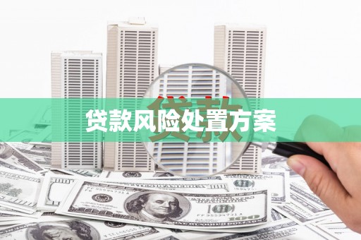 岳塘贷款风险处置方案