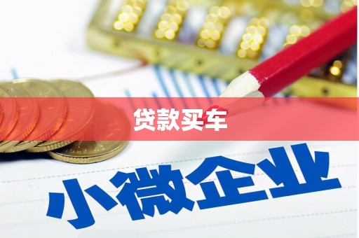 岳塘贷款买车