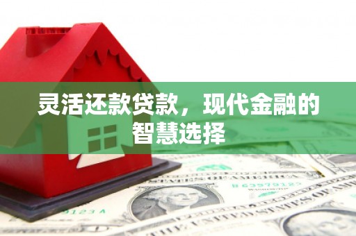 岳塘灵活还款贷款，现代金融的智慧选择