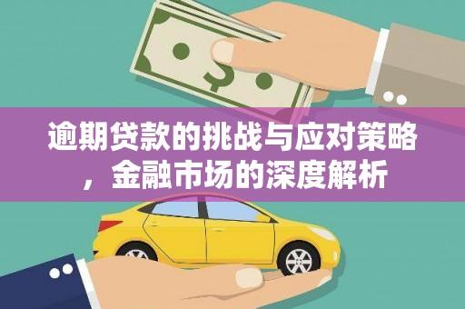 岳塘逾期贷款的挑战与应对策略，金融市场的深度解析