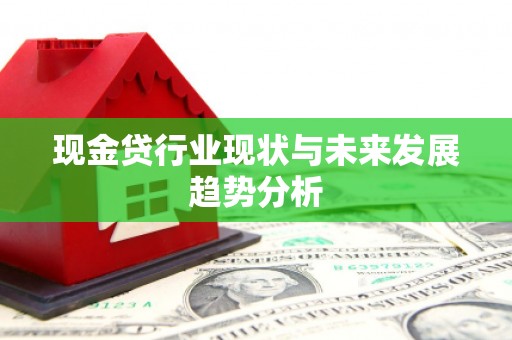 岳塘现金贷行业现状与未来发展趋势分析