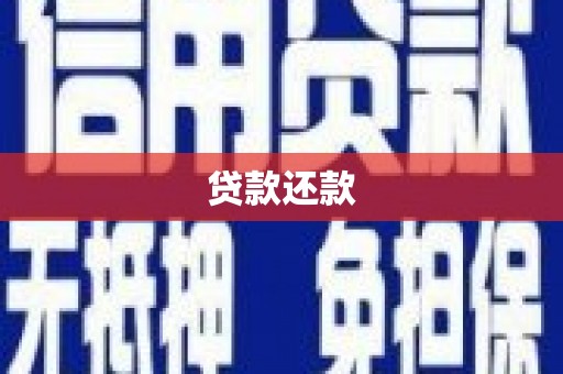 岳塘贷款还款