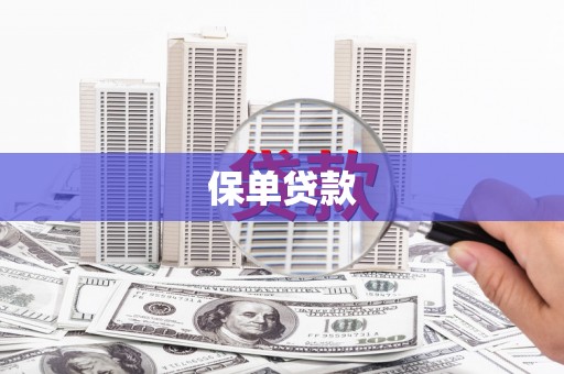 岳塘保单贷款