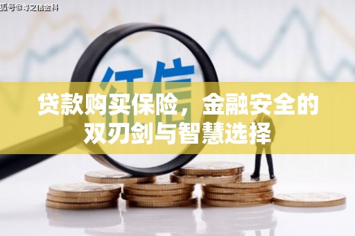 岳塘贷款购买保险，金融安全的双刃剑与智慧选择