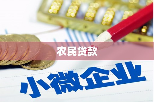 岳塘农民贷款