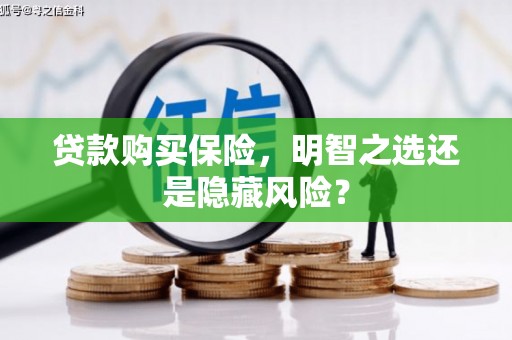 岳塘贷款购买保险，明智之选还是隐藏风险？
