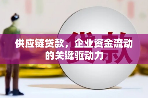 岳塘供应链贷款，企业资金流动的关键驱动力