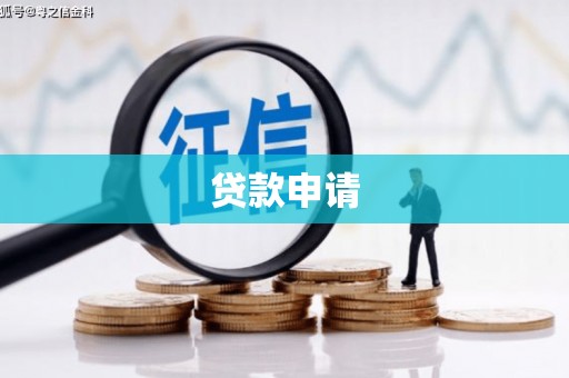 岳塘贷款申请