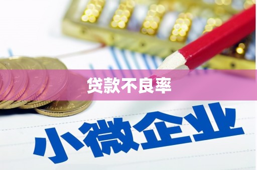 岳塘贷款不良率