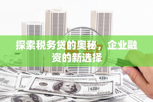 岳塘探索税务贷的奥秘，企业融资的新选择