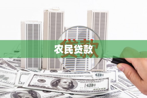 岳塘农民贷款