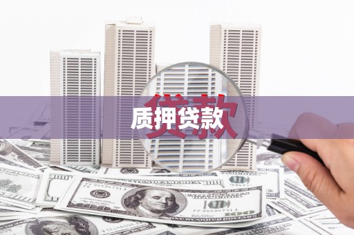岳塘质押贷款