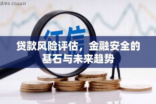 岳塘贷款风险评估，金融安全的基石与未来趋势