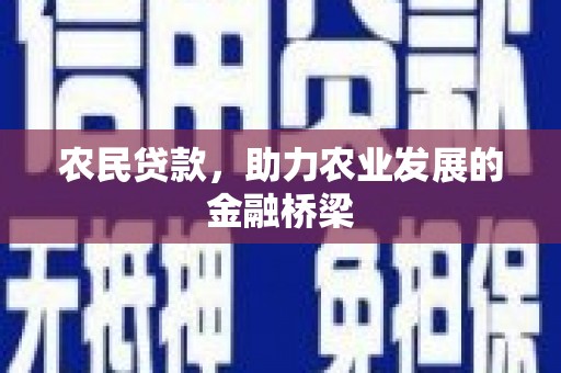 岳塘农民贷款，助力农业发展的金融桥梁