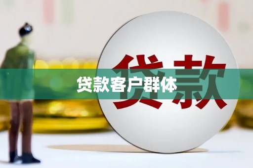 岳塘贷款客户群体