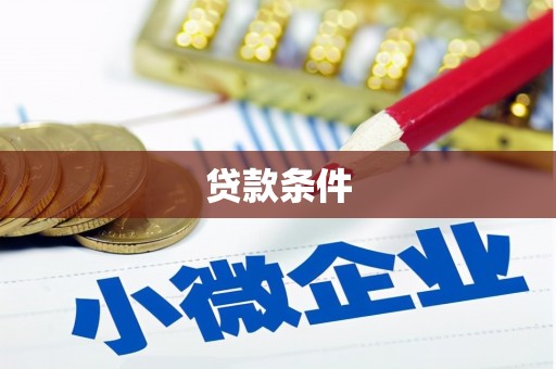 岳塘贷款条件