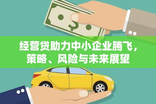 岳塘经营贷助力中小企业腾飞，策略、风险与未来展望