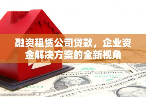 岳塘融资租赁公司贷款，企业资金解决方案的全新视角