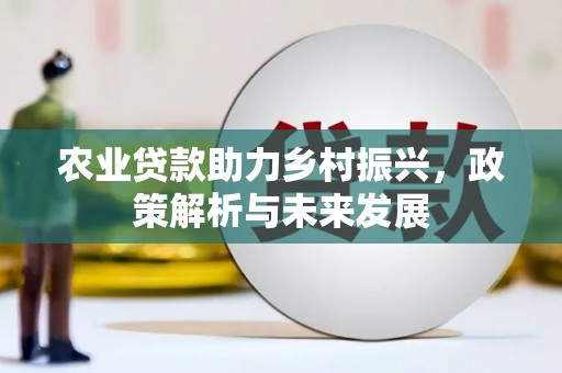 岳塘农业贷款助力乡村振兴，政策解析与未来发展