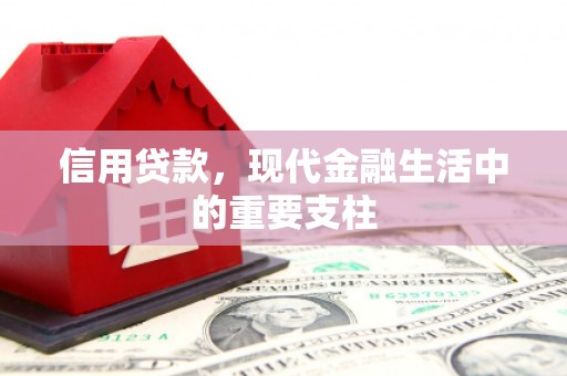 岳塘信用贷款，现代金融生活中的重要支柱
