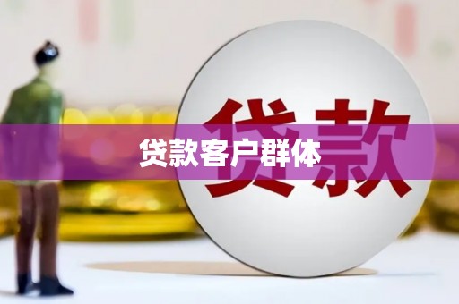 岳塘贷款客户群体