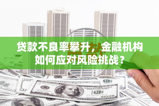 岳塘贷款不良率攀升，金融机构如何应对风险挑战？