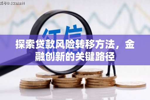 岳塘探索贷款风险转移方法，金融创新的关键路径