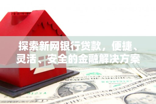 岳塘探索新网银行贷款，便捷、灵活、安全的金融解决方案