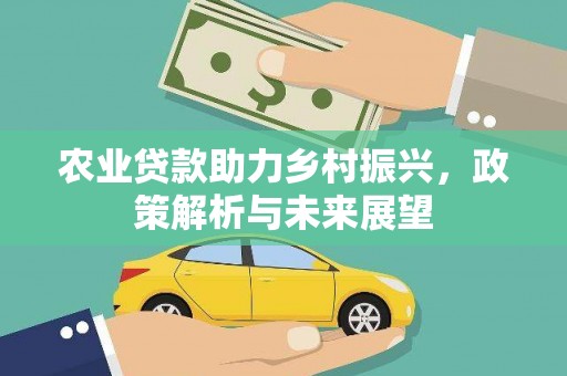 岳塘农业贷款助力乡村振兴，政策解析与未来展望
