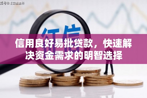 岳塘信用良好易批贷款，快速解决资金需求的明智选择