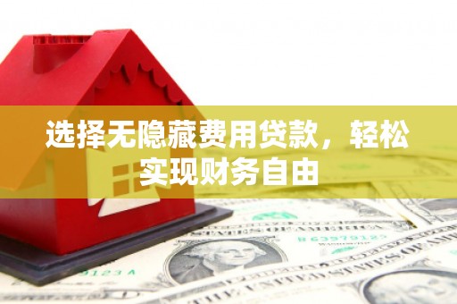 岳塘选择无隐藏费用贷款，轻松实现财务自由