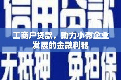 岳塘工商户贷款，助力小微企业发展的金融利器