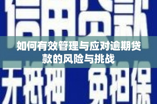 岳塘如何有效管理与应对逾期贷款的风险与挑战