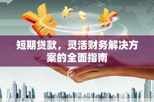 岳塘短期贷款，灵活财务解决方案的全面指南