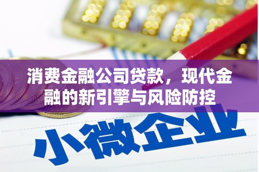 岳塘消费金融公司贷款，现代金融的新引擎与风险防控